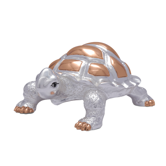 Silver Turtle