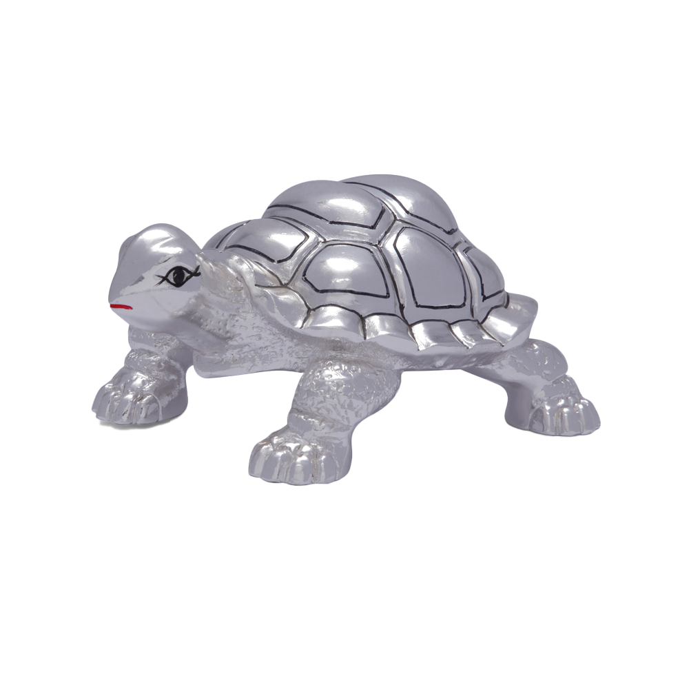 Silver Turtle