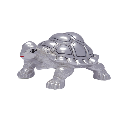 Silver Turtle