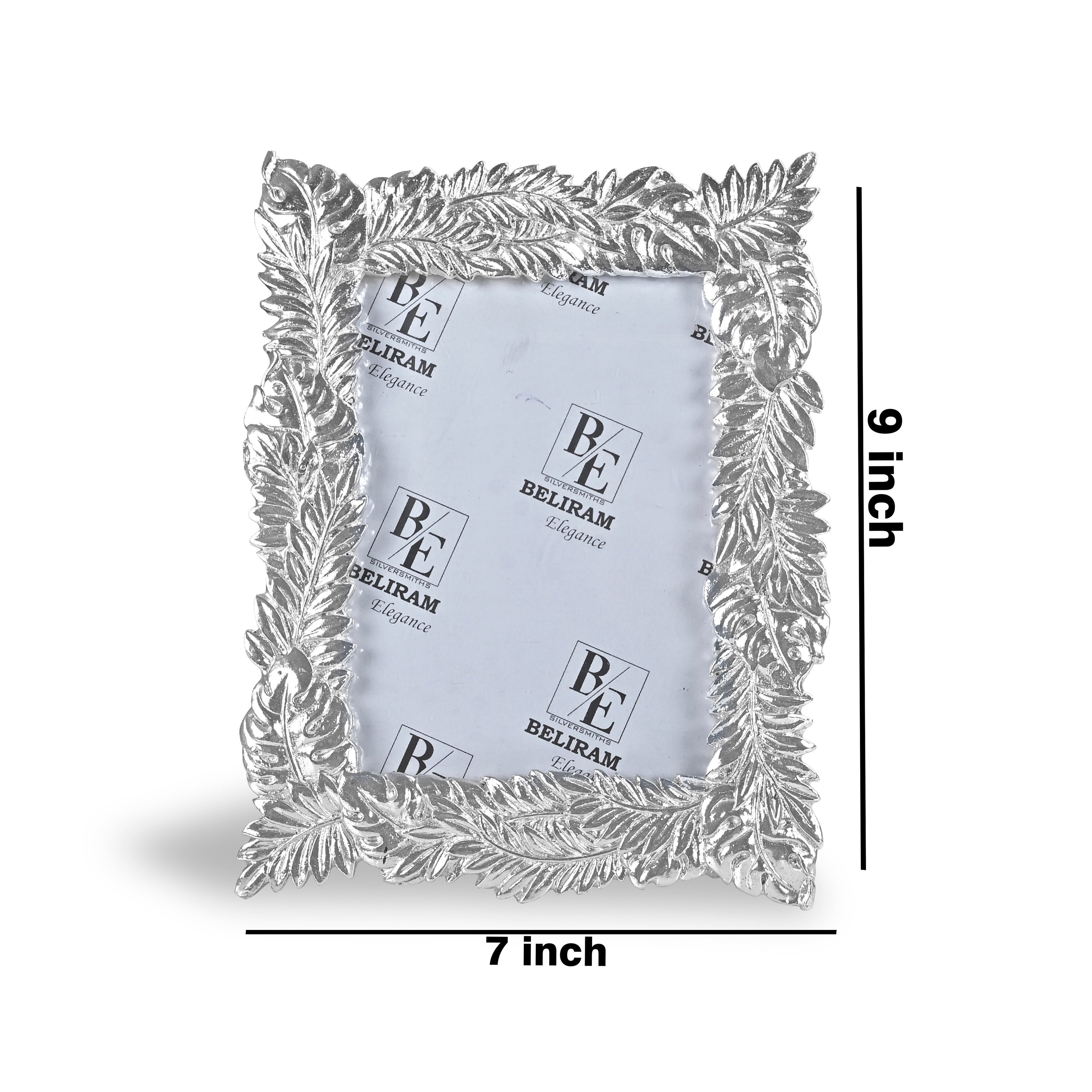 Silver Fern Design Photo Frame