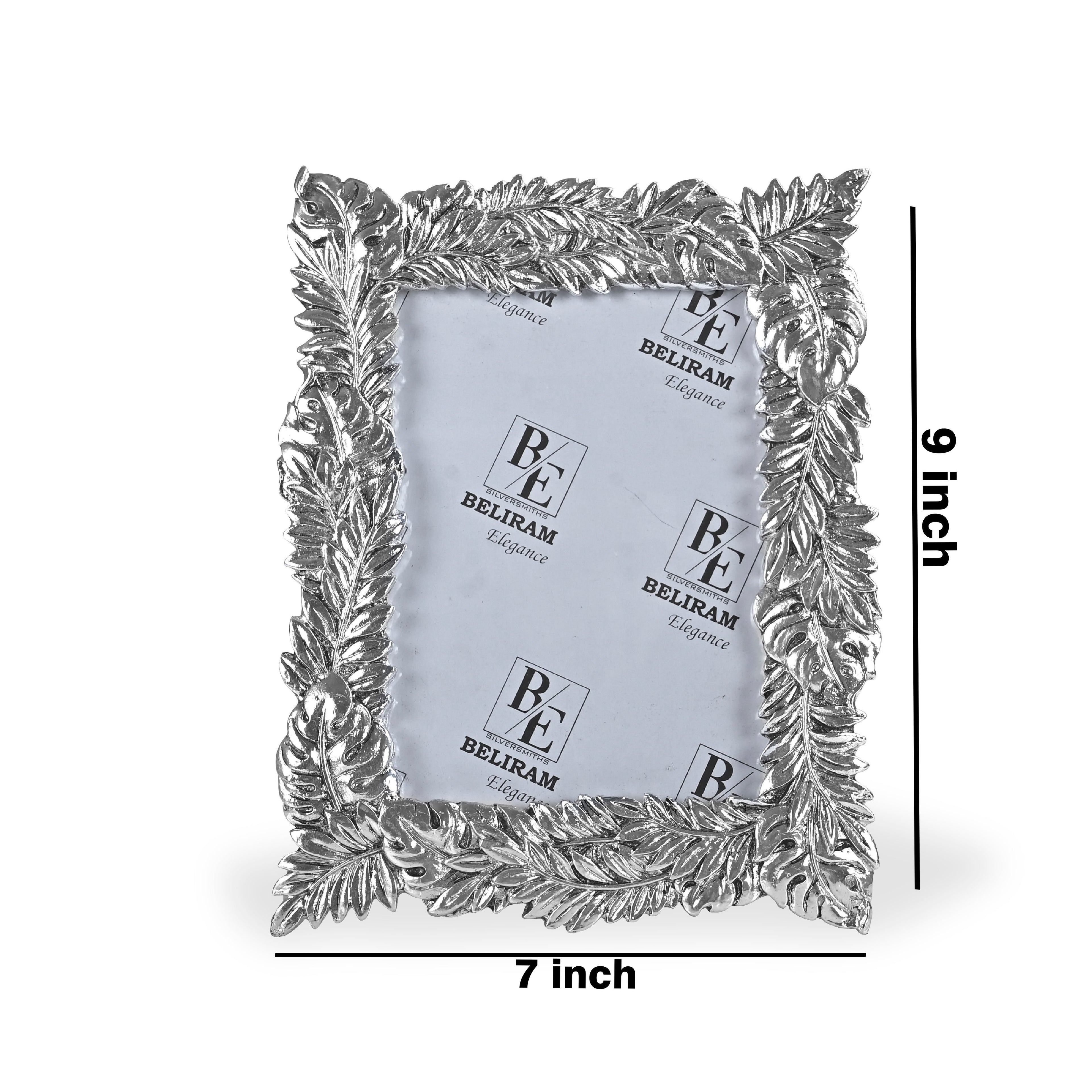 Silver Fern Design Photo Frame