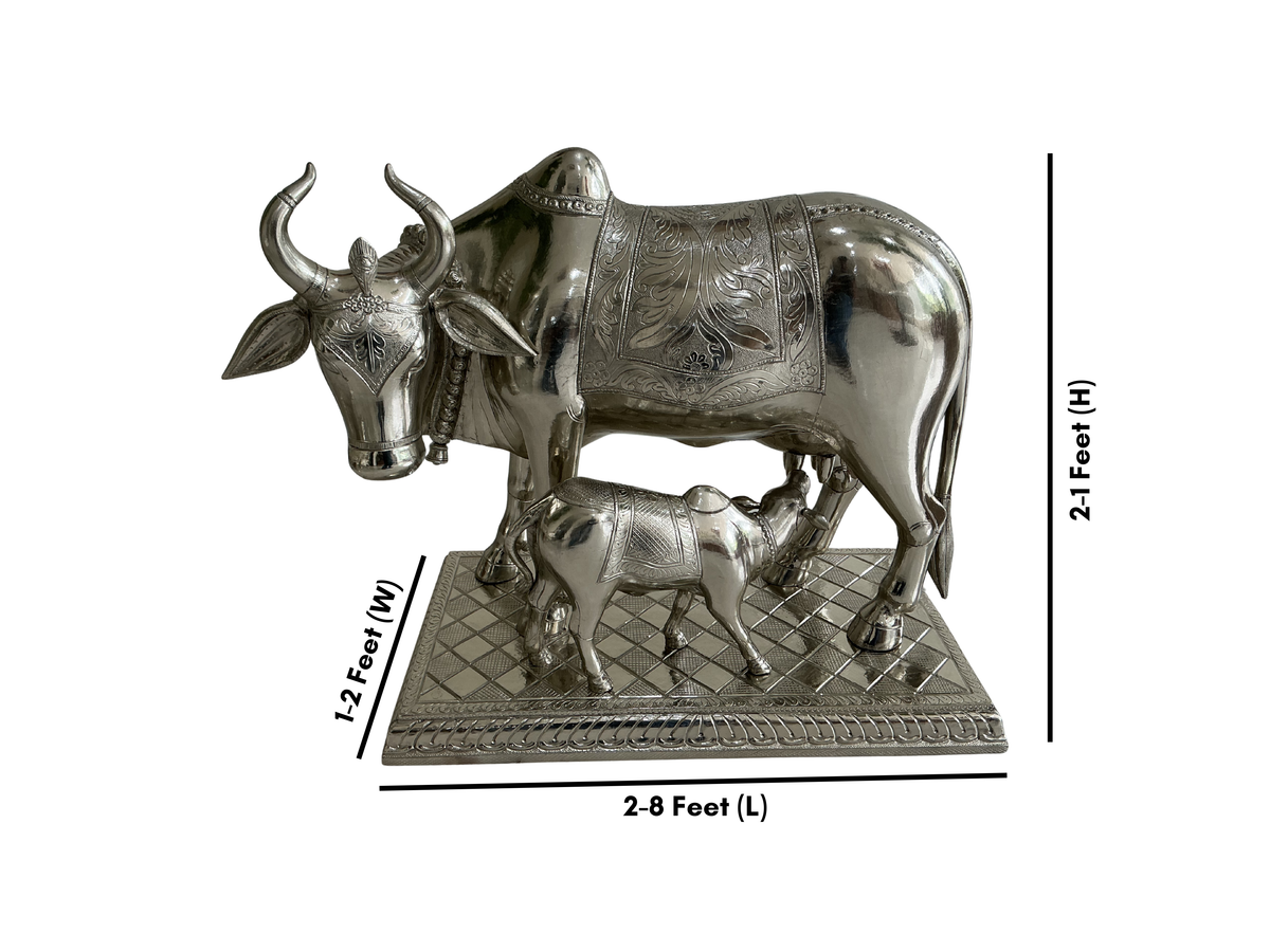 Cow & Calf