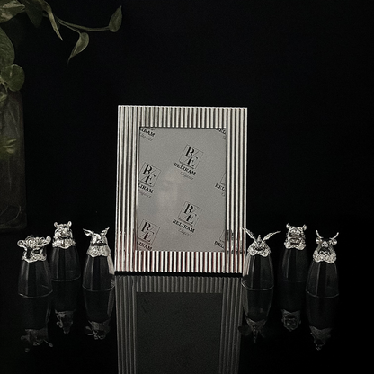 Silver Shot Glasses With Photo Frame