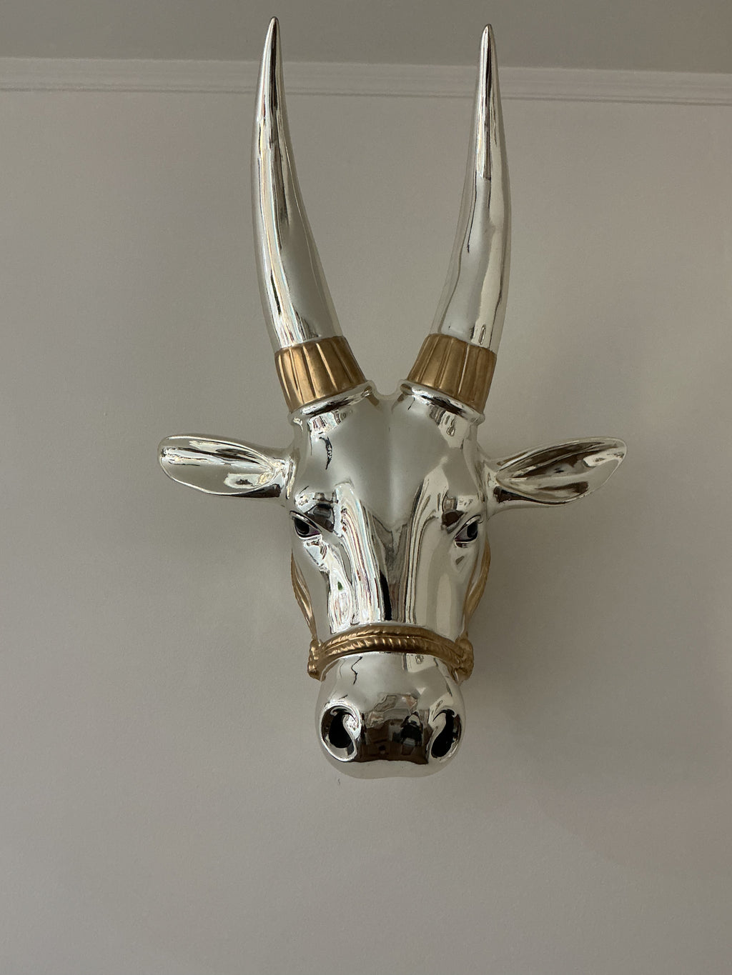 Bull Head Wall Mount
