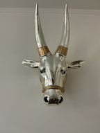 Bull Head Wall Mount