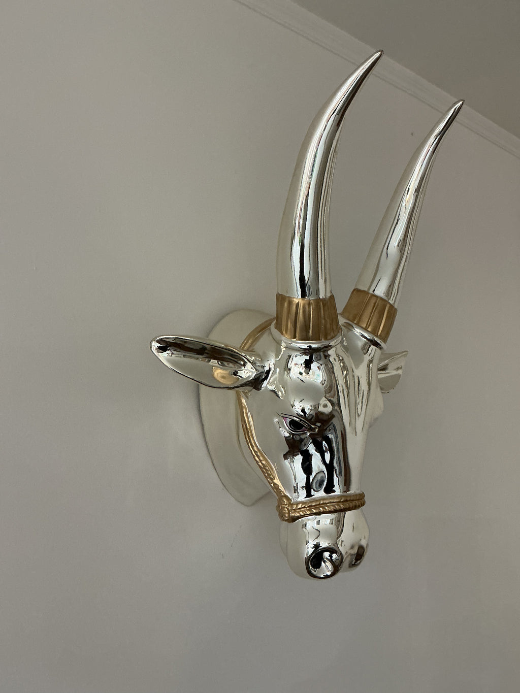 Bull Head Wall Mount