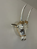 Bull Head Wall Mount