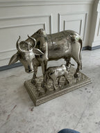 Cow & Calf
