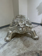 Turtle Big