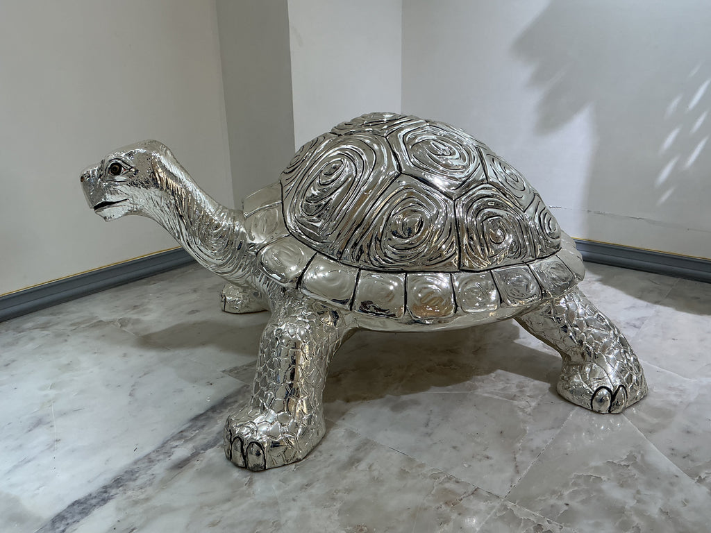 Turtle Big