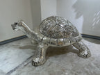 Turtle Big