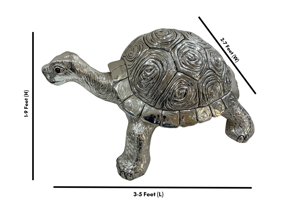 Turtle Big