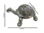 Turtle Big
