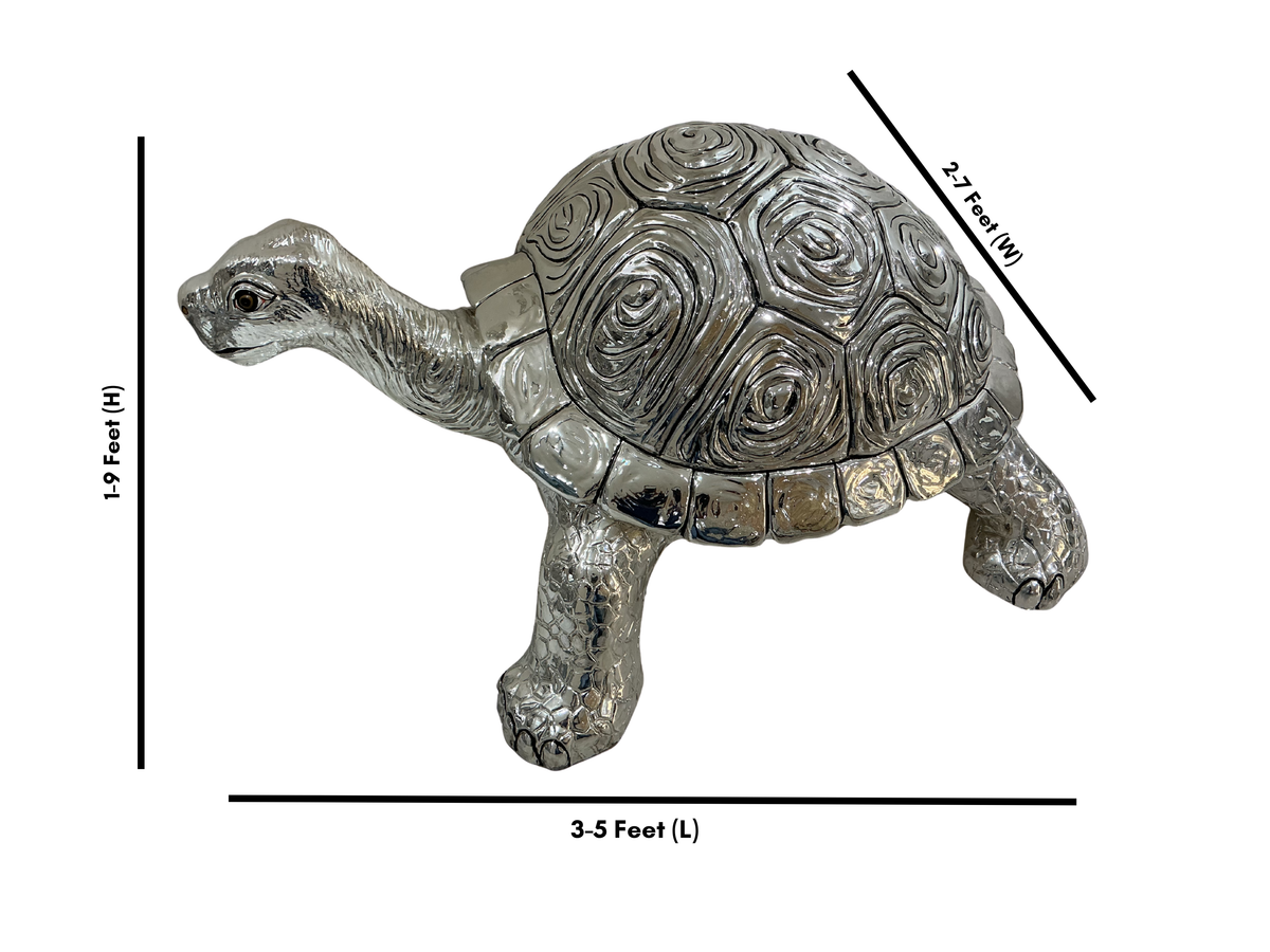 Turtle Big