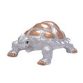 Silver Turtle