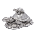 Turtle Family
