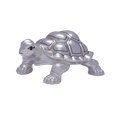 Silver Turtle