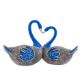 Swan Pair